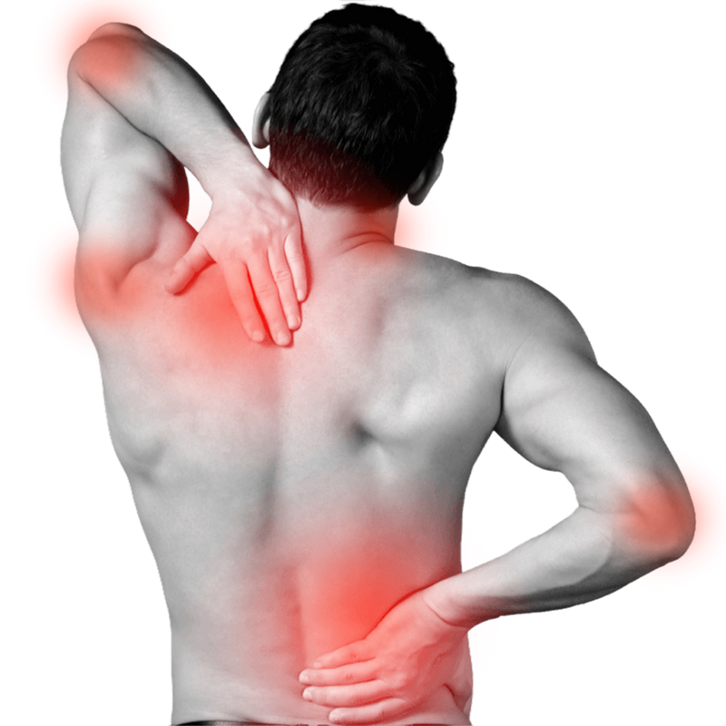 Muscle & Joint Comfort
