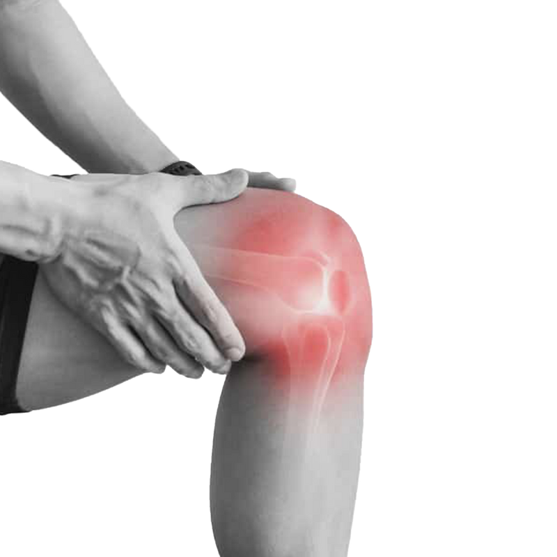 Circulation & Leg Support